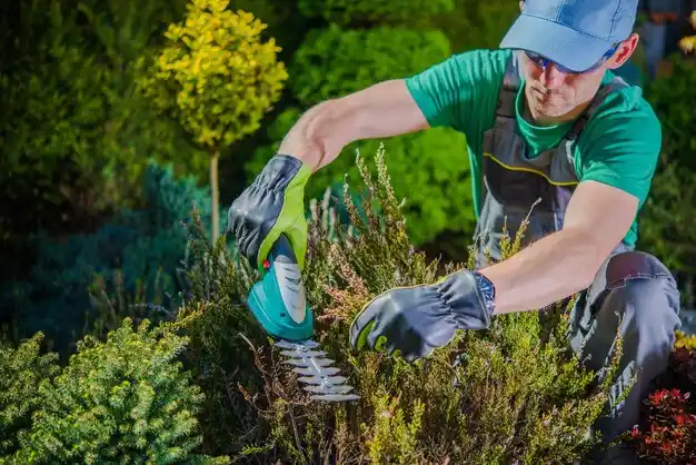 landscaping services North Royalton